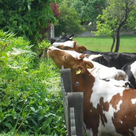 Apartamento Fun4all-holidayhome Medebach