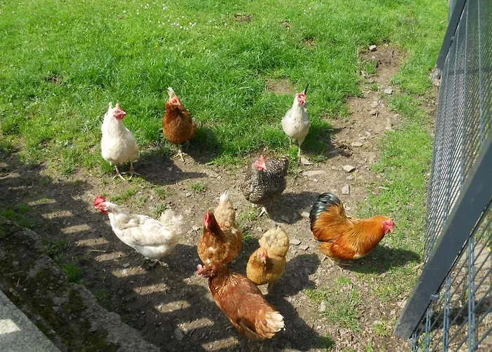 Fun4all-holidayhome * メーデバッハ