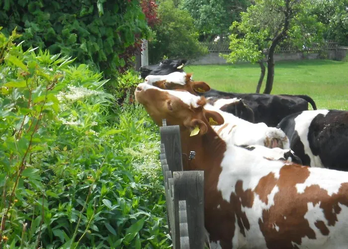 Daire Fun4all-holidayhome Medebach